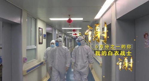 “守護天使”公益律師武漢上崗，為醫護筑起法律后盾